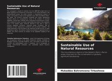 Borítókép a  Sustainable Use of Natural Resources - hoz