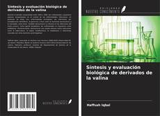 Borítókép a  Síntesis y evaluación biológica de derivados de la valina - hoz