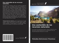 Borítókép a  Uso sostenible de los recursos naturales - hoz