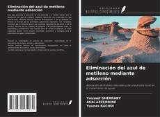 Bookcover of Eliminación del azul de metileno mediante adsorción