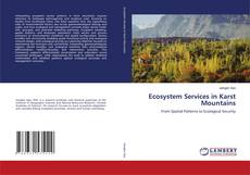 Bookcover of Ecosystem Services in Karst Mountains