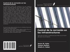 Control de la corrosión en las infraestructuras的封面