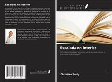 Borítókép a  Escalada en interior - hoz