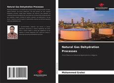 Обложка Natural Gas Dehydration Processes