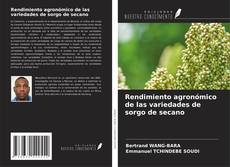 Borítókép a  Rendimiento agronómico de las variedades de sorgo de secano - hoz