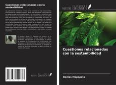 Buchcover von Cuestiones relacionadas con la sostenibilidad