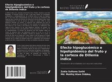Borítókép a  Efecto hipoglucémico e hipolipidémico del fruto y la corteza de Dillenia indica - hoz