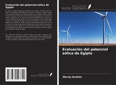 Copertina di Evaluación del potencial eólico de Egipto