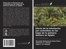 Couverture de Efecto de la infestación por cochinillas en las hojas de la palmera datilera en Egipto