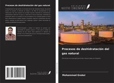 Borítókép a  Procesos de deshidratación del gas natural - hoz