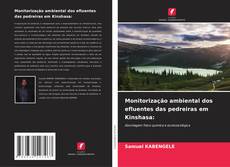Bookcover of Monitorização ambiental dos efluentes das pedreiras em Kinshasa:
