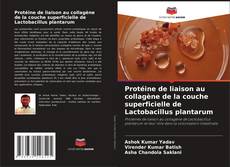 Bookcover of Protéine de liaison au collagène de la couche superficielle de Lactobacillus plantarum