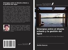Bookcover of Sinergias entre el diseño urbano y la gestión del agua