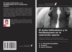 Copertina di El ácido tolfenámico y la fenilbutazona en la castración equina