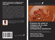 Borítókép a  Proteína de unión al colágeno de la capa superficial de Lactobacillus plantarum - hoz