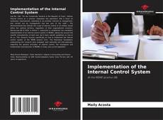 Borítókép a  Implementation of the Internal Control System - hoz