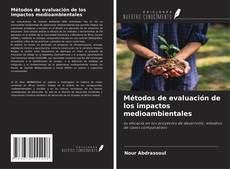 Métodos de evaluación de los impactos medioambientales的封面