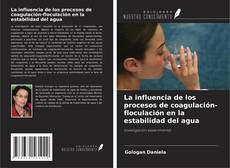 Borítókép a  La influencia de los procesos de coagulación-floculación en la estabilidad del agua - hoz
