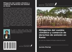 Capa do livro de Mitigación del cambio climático y comercio de derechos de emisión en Kenia 