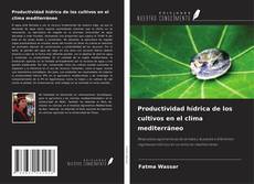 Обложка Productividad hídrica de los cultivos en el clima mediterráneo
