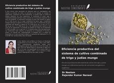 Eficiencia productiva del sistema de cultivo combinado de trigo y judías mungo的封面