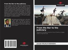 Buchcover von From the Bar to the Judiciary