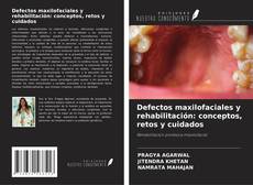 Borítókép a  Defectos maxilofaciales y rehabilitación: conceptos, retos y cuidados - hoz