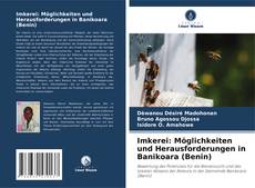 Borítókép a  Imkerei: Möglichkeiten und Herausforderungen in Banikoara (Benin) - hoz