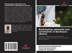 Beekeeping: potential and constraints in Banikoara (Benin) kitap kapağı