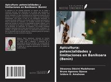 Borítókép a  Apicultura: potencialidades y limitaciones en Banikoara (Benín) - hoz