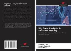 Buchcover von Big Data Analysis in Decision Making