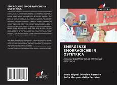 Bookcover of EMERGENZE EMORRAGICHE IN OSTETRICA