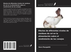 Borítókép a  Efectos de diferentes niveles de residuos de col en la alimentación sobre el rendimiento de los conejos - hoz