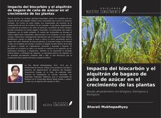 Impacto del biocarbón y el alquitrán de bagazo de caña de azúcar en el crecimiento de las plantas的封面