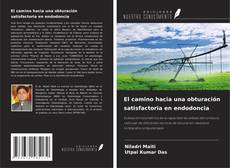 Capa do livro de El camino hacia una obturación satisfactoria en endodoncia 