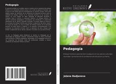 Borítókép a  Pedagogía - hoz