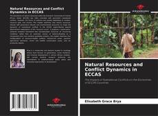 Buchcover von Natural Resources and Conflict Dynamics in ECCAS