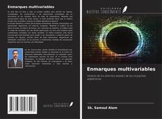 Enmarques multivariables的封面
