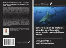 Bookcover of Determinación de metales pesados en diferentes especies de peces del lago Abaya