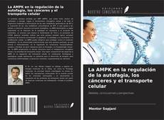 Borítókép a  La AMPK en la regulación de la autofagia, los cánceres y el transporte celular - hoz