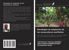 Borítókép a  Estrategias de adaptación de los cacaocultores marfileños - hoz