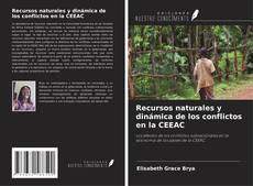 Buchcover von Recursos naturales y dinámica de los conflictos en la CEEAC