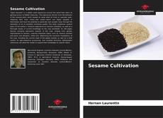 Sesame Cultivation kitap kapağı