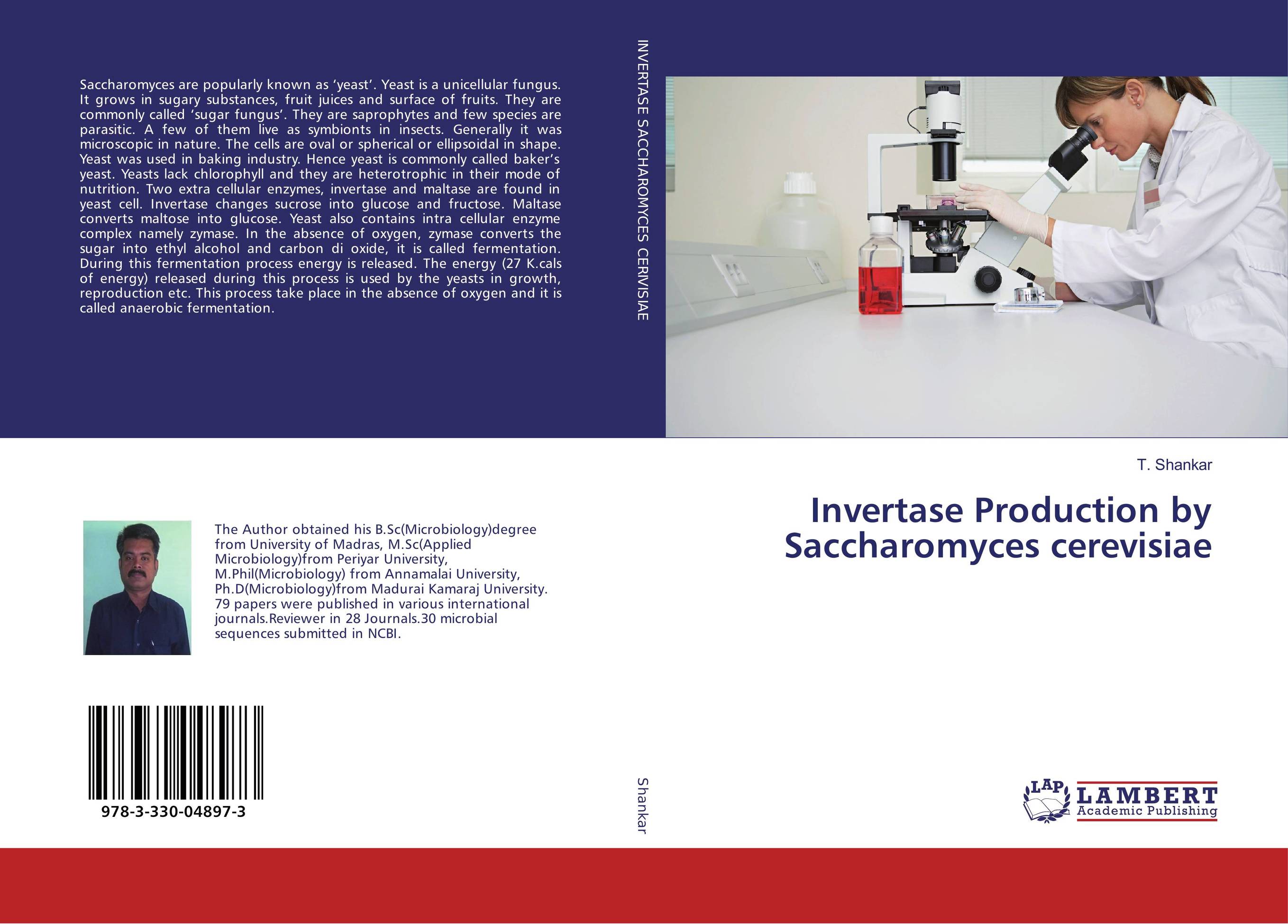 Invertase Production by Saccharomyces cerevisiae..
