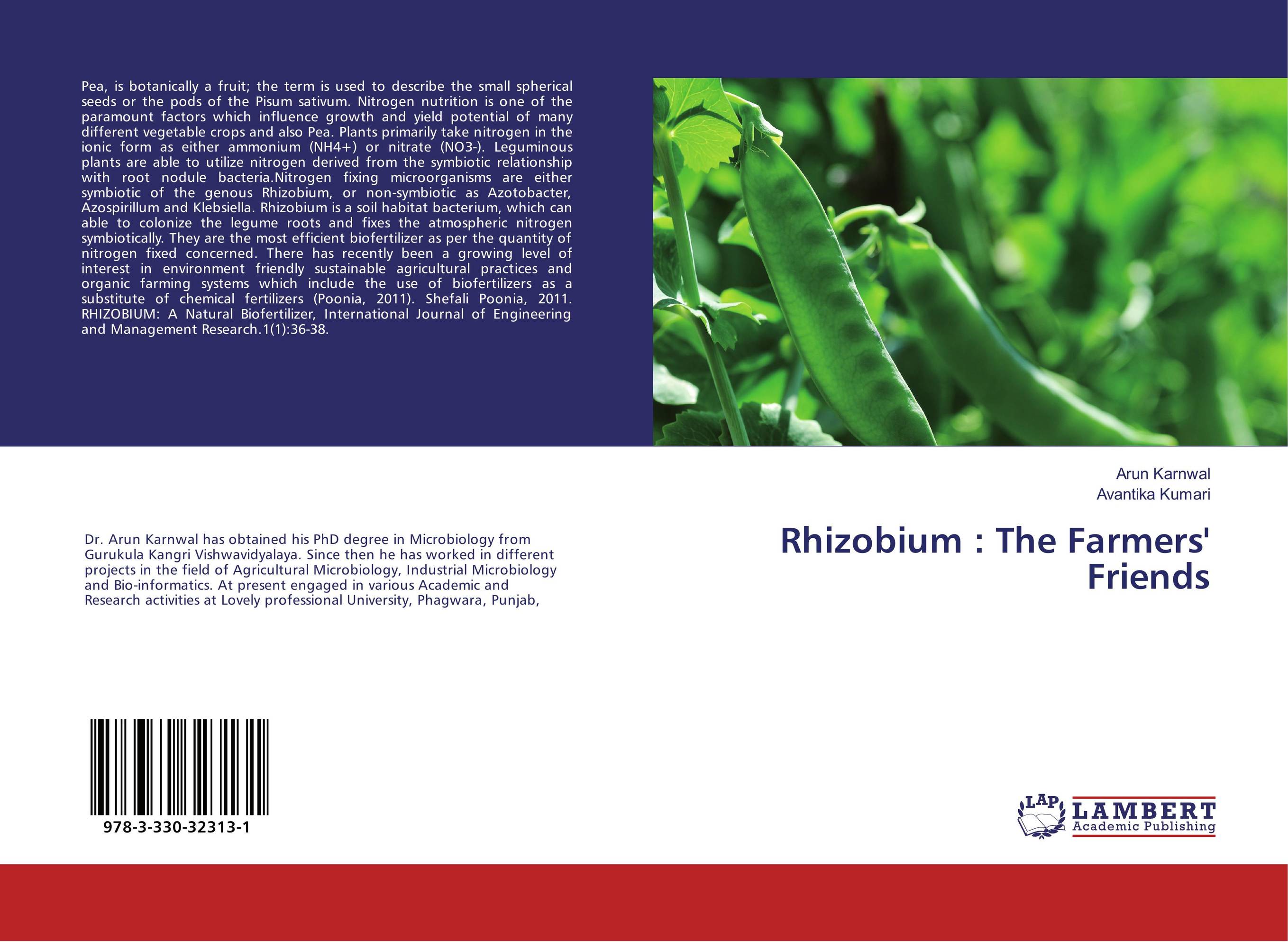 Rhizobium : The Farmers' Friends..