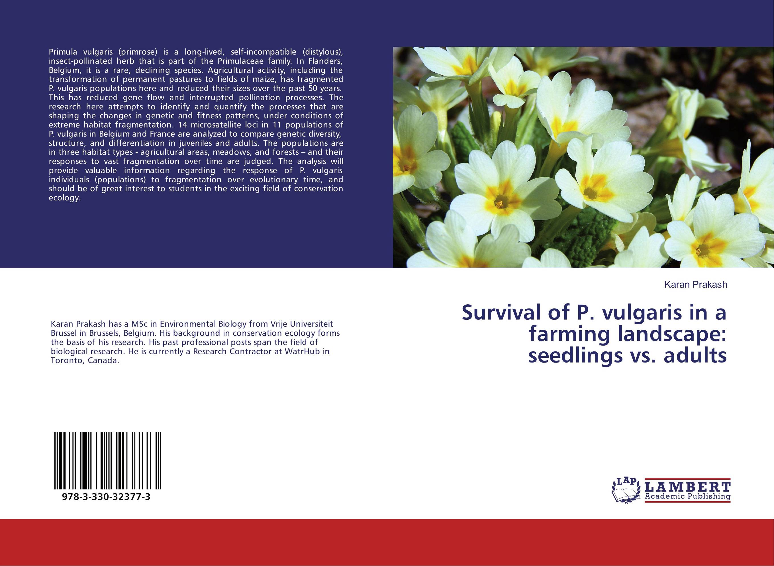 Survival of P. vulgaris in a farming landscape: seedlings vs. adults..