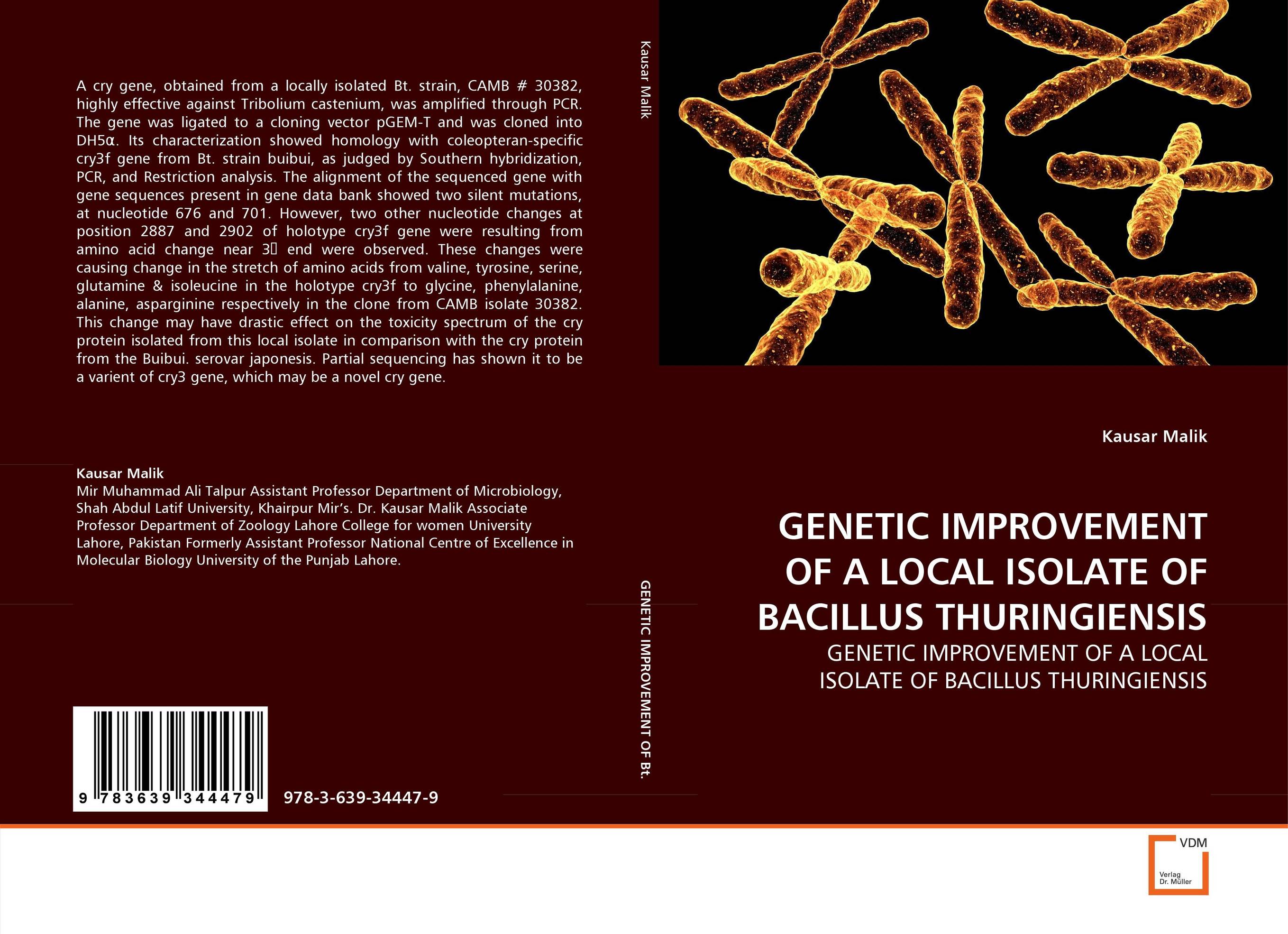 GENETIC IMPROVEMENT OF A LOCAL ISOLATE OF BACILLUS THURINGIENSIS. GENETIC IMPROVEMENT OF A LOCAL ISOLATE OF BACILLUS THURINGIENSIS.