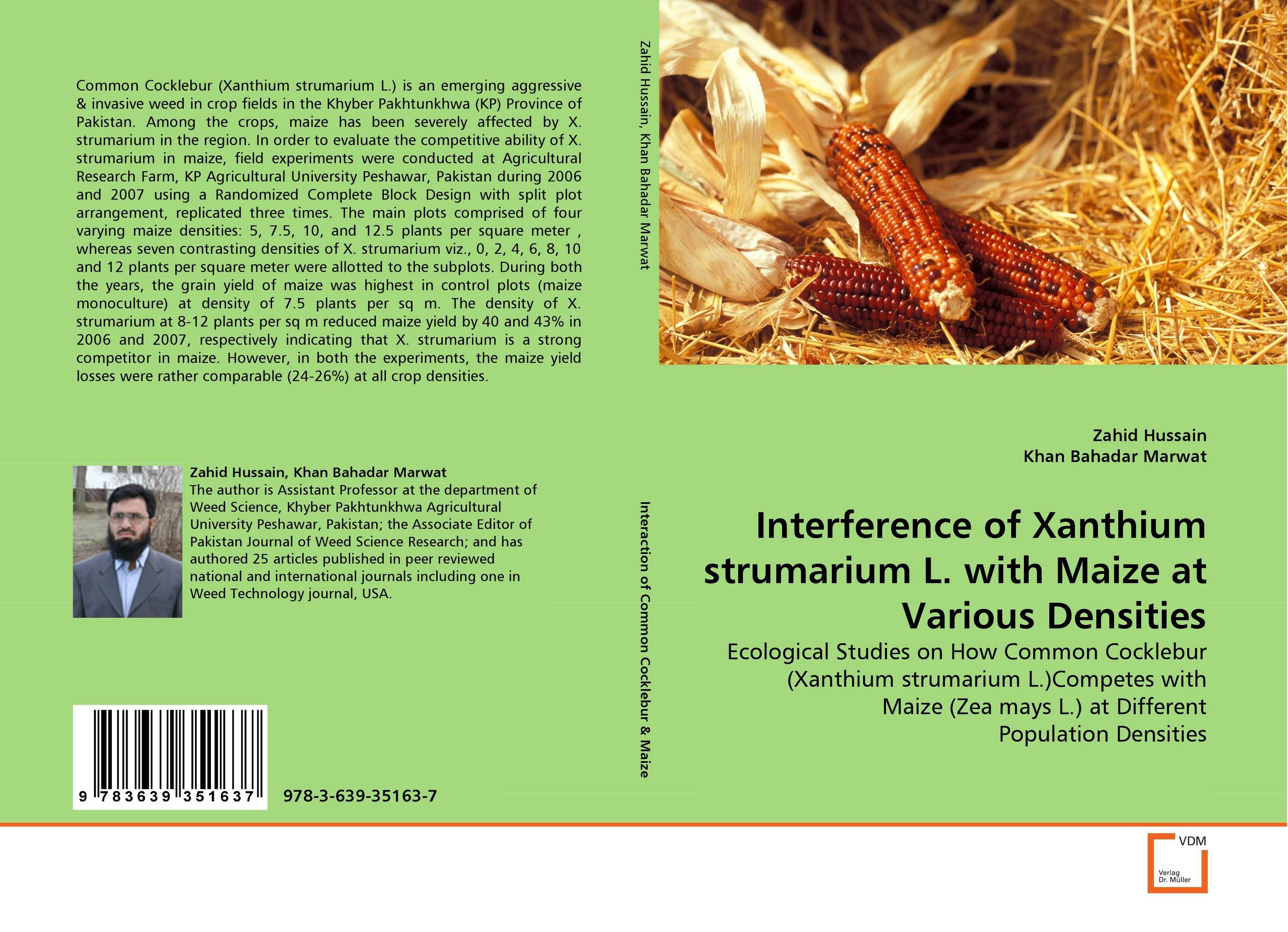 Interference of Xanthium strumarium L. with Maize at Various Densities. Ecological Studies on How Common Cocklebur (Xanthium strumarium L.)Competes with Maize (Zea mays L.) at Different Population Densities.