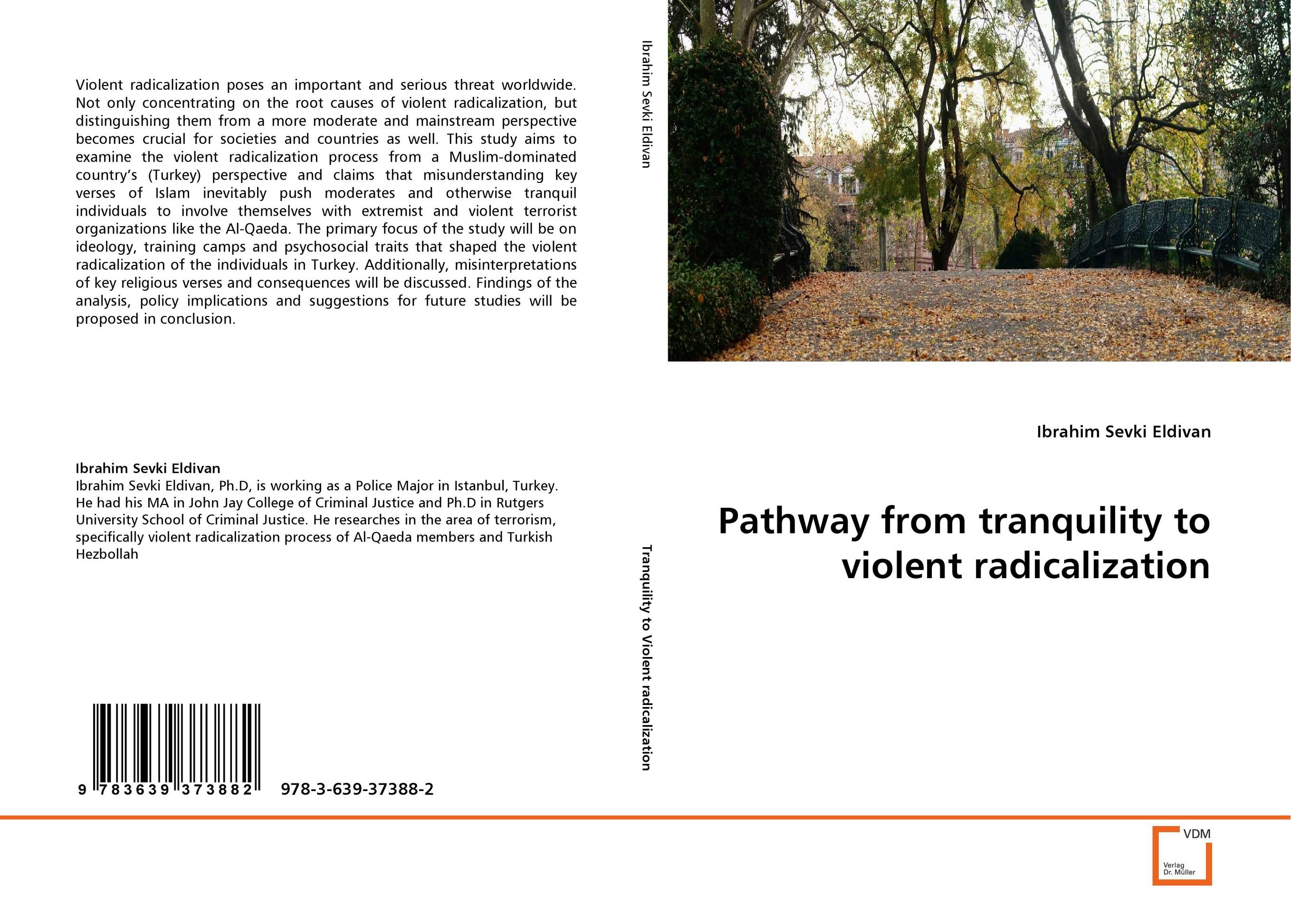 Pathway from tranquility to violent radicalization..