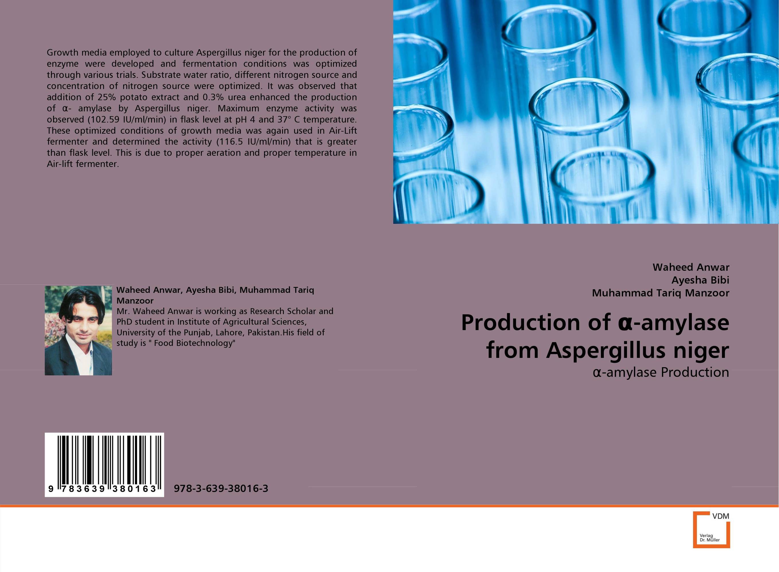 Production of ?-amylase from Aspergillus niger. ?-amylase Production.